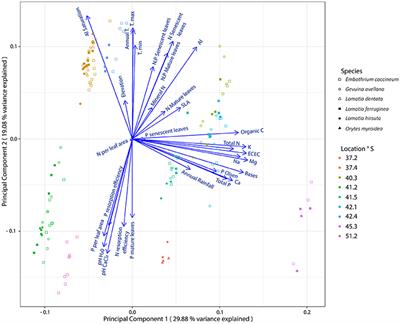 Nutrient Use Efficiency of Southern South America Proteaceae Species. Are there General Patterns in the Proteaceae Family?